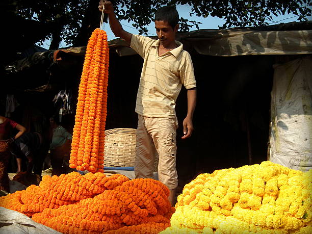 Man selling Marigold flowers Kolkata, India - October 24, 2015: Unidentified Marigold (Genda) flower seller checks his flowers at 'Barabajar Flower Market' at early morning nearby the Howrah Bridge, Kolkata. flower market morning flower selling stock pictures, royalty-free photos & images