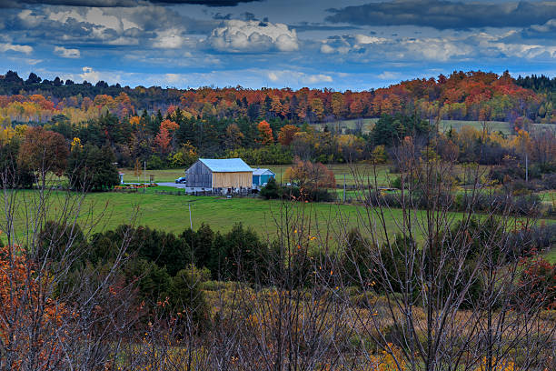 istock Barn of the valley in autumn 493904282