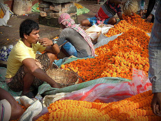 Flower seller sipping tea Kolkata, India - October 24, 2015: Unidentified Marigold (Genda) flower seller sipping Tea while sitting in front of his flowers at 'Barabajar Flower Market' at early morning nearby the Howrah Bridge, Kolkata. flower market morning flower selling stock pictures, royalty-free photos & images