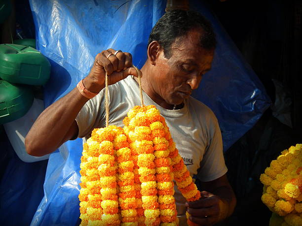 Man with Marigold flowers Kolkata, India - October 24, 2015: Unidentified Marigold (Genda) flower seller checking his Garlands (of Marigold flowers) at 'Barabajar Flower Market' at early morning nearby the Howrah Bridge, Kolkata. flower market morning flower selling stock pictures, royalty-free photos & images