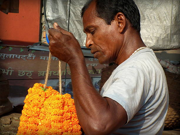 Indian Flower Seller and Marigold flowers Kolkata, India - October 24, 2015: Unidentified Marigold (Genda) flower seller checking his flowers at 'Barabajar Flower Market' at early morning nearby the Howrah Bridge, Kolkata. flower market morning flower selling stock pictures, royalty-free photos & images