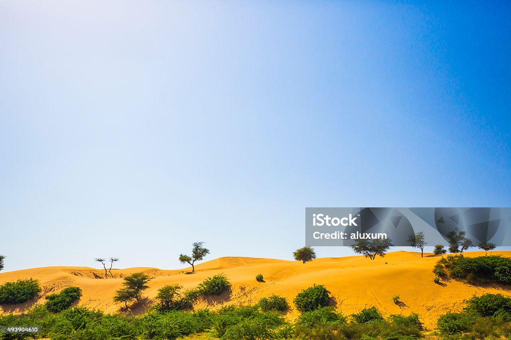 Thar desert Rajasthan India 2015 Stock Photo