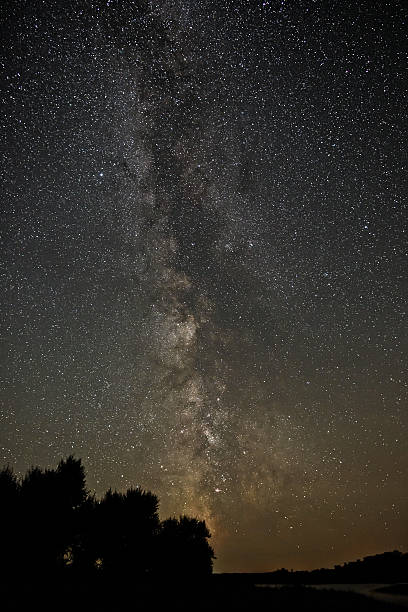 istock Trees on a background of  night sky and  Milky Way. 493905600