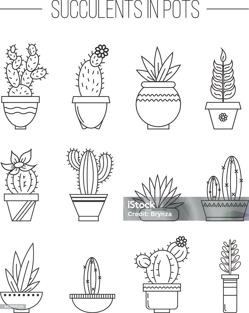 Ensemble de plantes et de succulents cactuses en pots. - clipart vectoriel de 2015 libre de droits