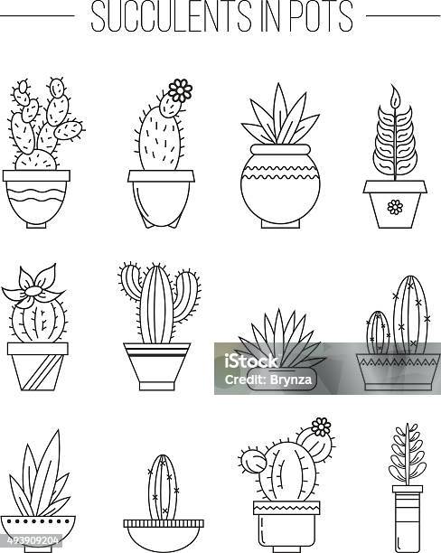 Ensemble De Plantes Et De Succulents Cactuses En Pots Vecteurs libres de droits et plus d'images vectorielles de 2015