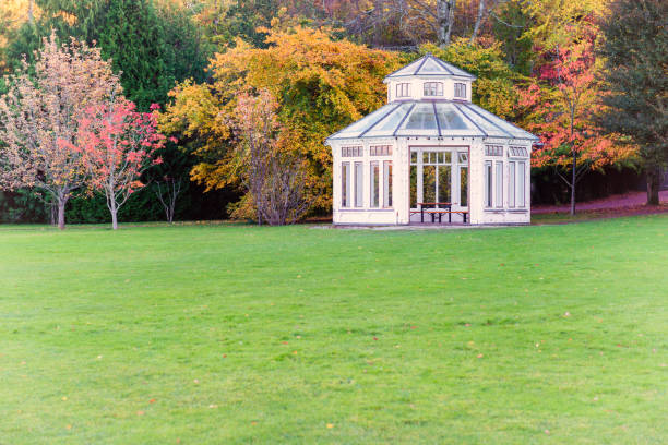 istock Gazebo in autumn park 493909550