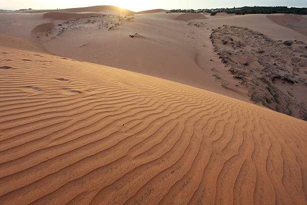 istock red sand dune in muine,vietnam. 493909980