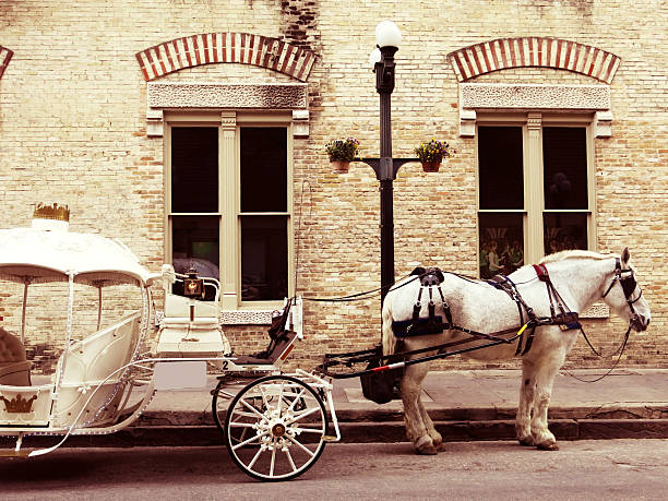 Charleston, SC, USA - September 10, 2016: People taking a Horse and Carriage ride around Charleston, SC