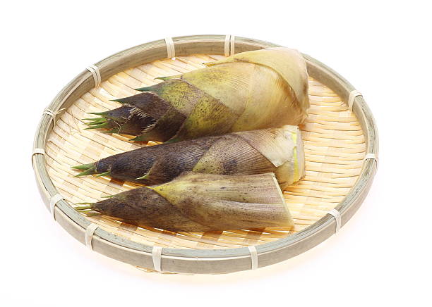 raíz de bambú en una cesta - bamboo shoot bamboo indoors plant fotografías e imágenes de stock