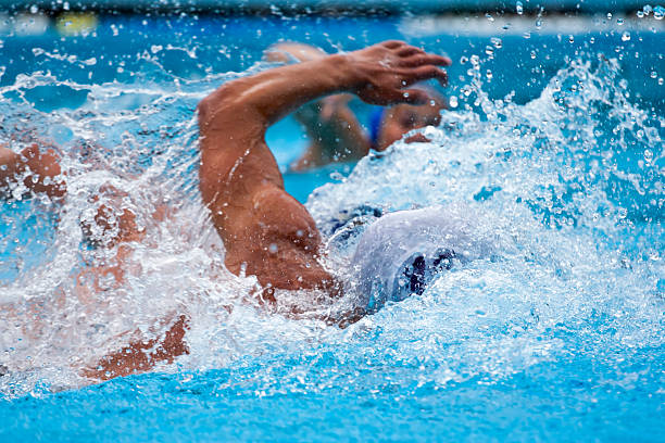 swimming swimming in the swimming pool water polo photos stock pictures, royalty-free photos & images