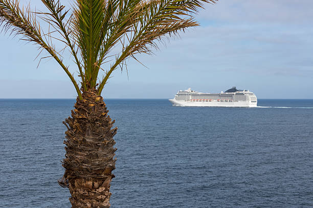 A big cruise ship is leaving tropical Madeira