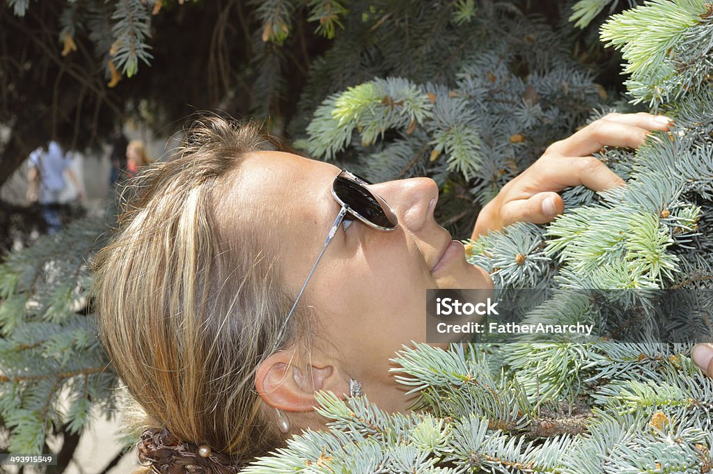Beautiful girl in branchs of blue spruce Beautiful People Stock Photo