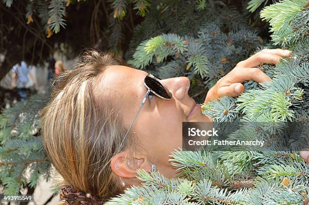 Beautiful Girl In Branchs Of Blue Spruce Stock Photo - Download Image Now - Beautiful People, Beauty, Child