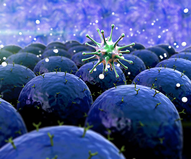 istock field of cells 493915605