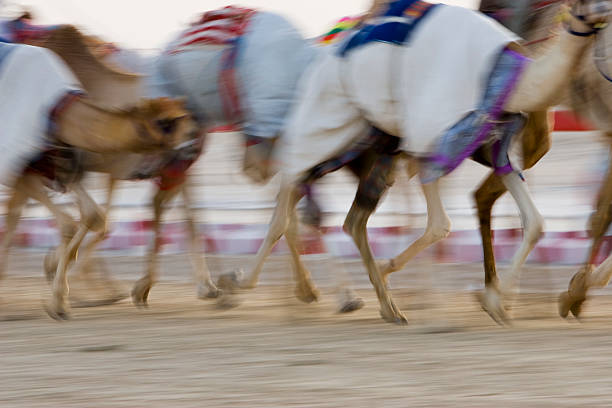 istock Scenes of Dubai 493915661