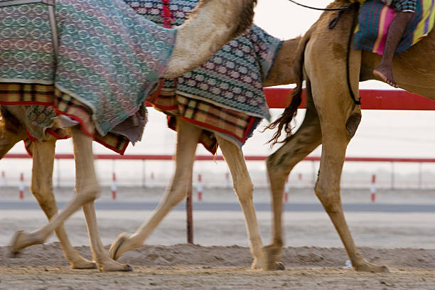 istock Scenes of Dubai 493915667