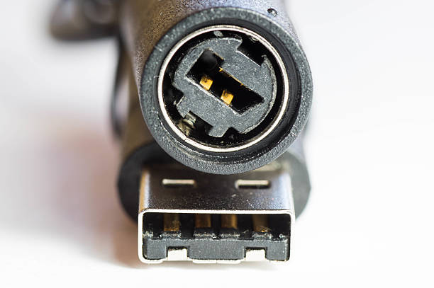istock Macro shot of a USB converter cable 493917256