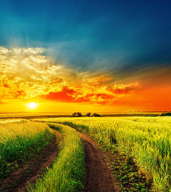 istock red sunset over green field with road 493917634