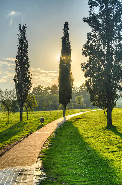 James and Ethel Gray Park in Syferfontein, Johannesburg, South Africa at sunset.