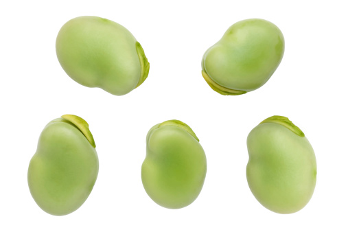 broad beans isolated on white background