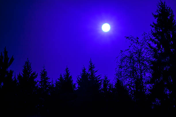 Photo of Surrealistic full moon