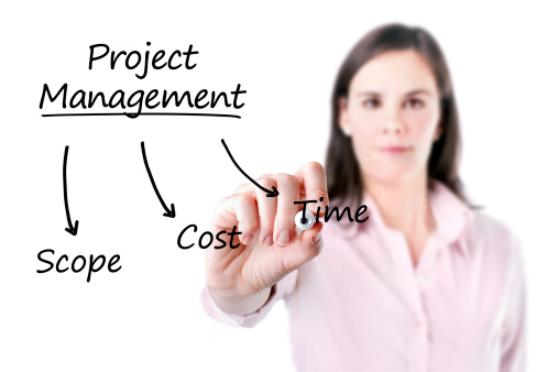 Young business woman writing project management concept