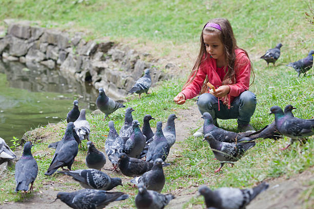 Little girl feeding pigeons in park