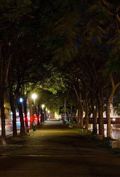 istock walkway night in Chinag Mai , Thailand 493930576
