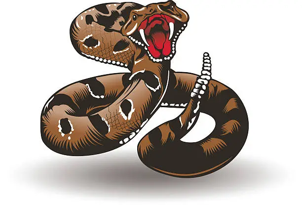 Vector illustration of Rattlesnake
