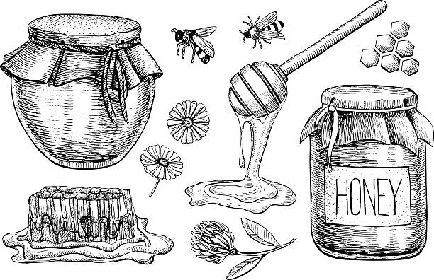 ilustraciones, imágenes clip art, dibujos animados e iconos de stock de vector conjunto de miel. ilustración vintage dibujados a mano - spoon honey cute jar