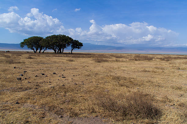Ngorongorokrater – Foto