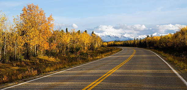 istock Highway Leads Through Peaks Alaska Range Fall Autumn Season 493933974