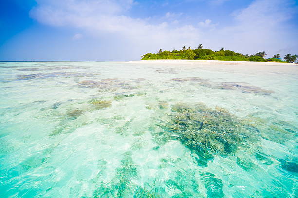 istock Maldives,  tropical sea background! 493936188
