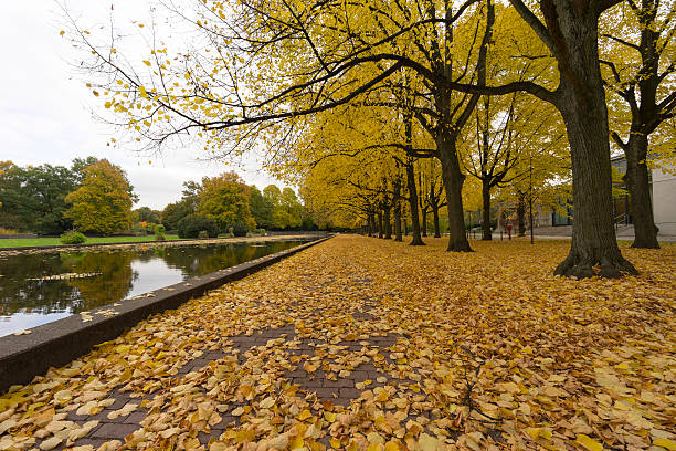 istock Autumn in Hannover city park 493936264