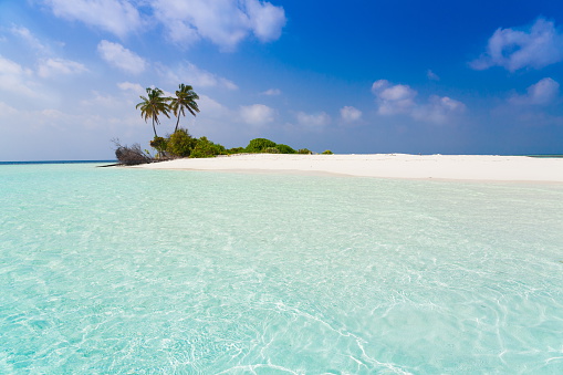 Beautiful amazing nature background. Tropical blue sun sea. Luxury holiday resort. Island atoll about coral reef. Fresh  freedom. Adventure day. Snorkeling. Coconut paradise.