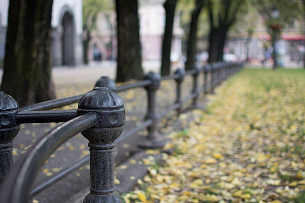 istock Iron fence in park 493937358