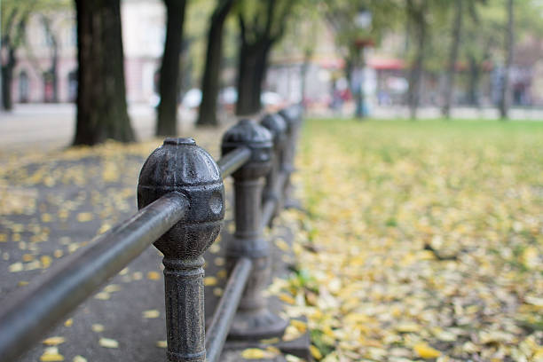 istock Iron fence in park 493937440