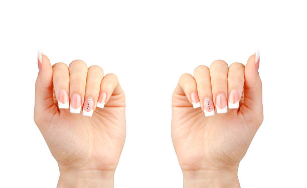 istock Beautiful woman's hands with french manicure 493938728