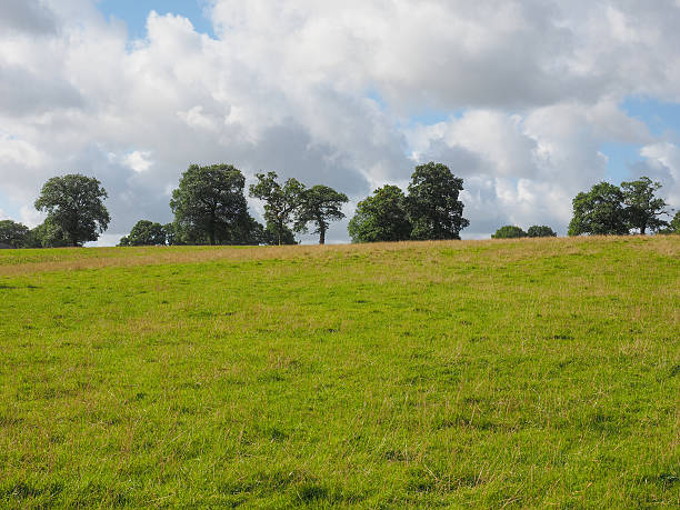 istock View of Tanworth in Arden 493939106