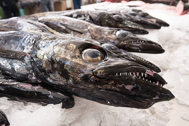 black-black scabbardfish monstro peixe - foto de acervo