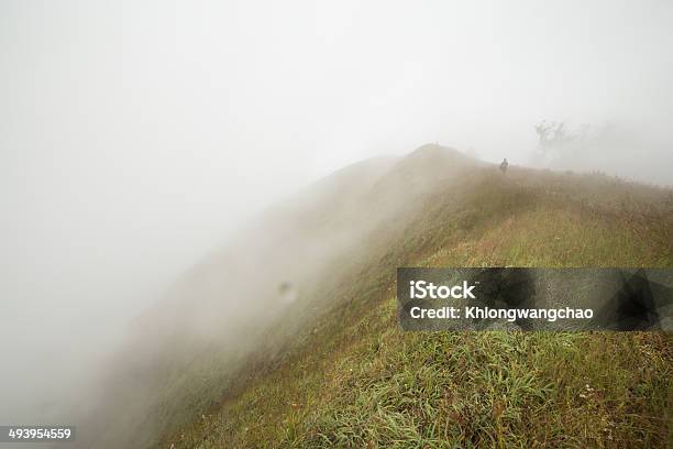 Praderas De Niebla De La Mañana Foto de stock y más banco de imágenes de Agricultura - Agricultura, Aire libre, Ajardinado