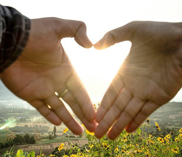 istock hands of heart shape 493954567