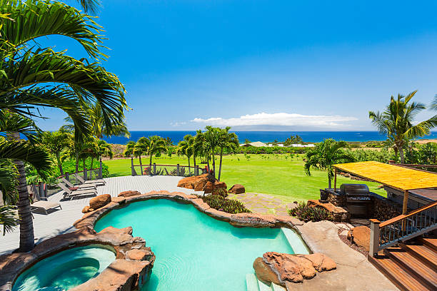 istock Luxury home with swimming pool 493954833