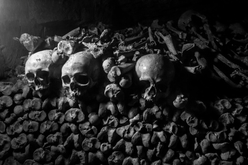 Bones and skulls piled up