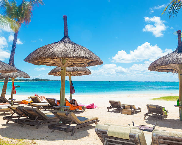 istock perfect place to rest on the beach 493957313