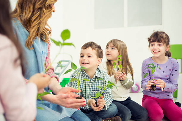 infantário crianças segurando bebê plantas em mãos. - preschooler plant preschool classroom imagens e fotografias de stock