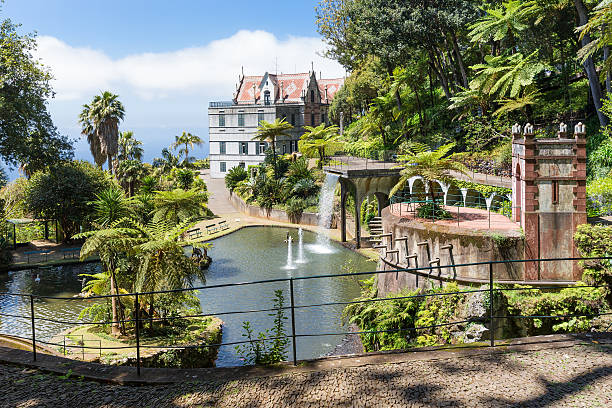 jardin tropical avec plan d'eau et palais de madère, portugal - tropical climate waterfall formal garden ornamental garden photos et images de collection