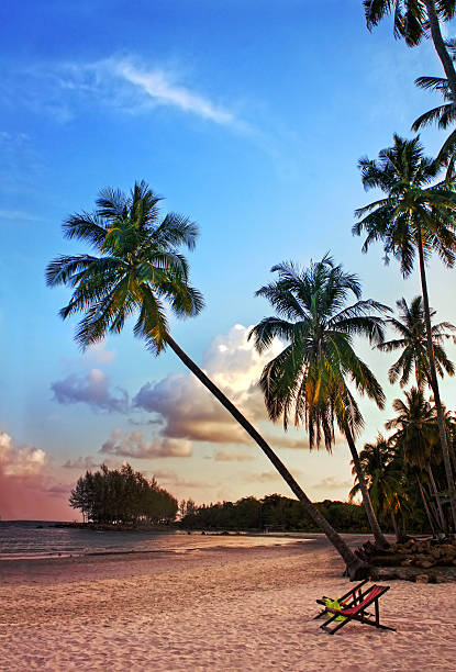 istock Beautiful tropical beach with palm trees at sunset 493958343