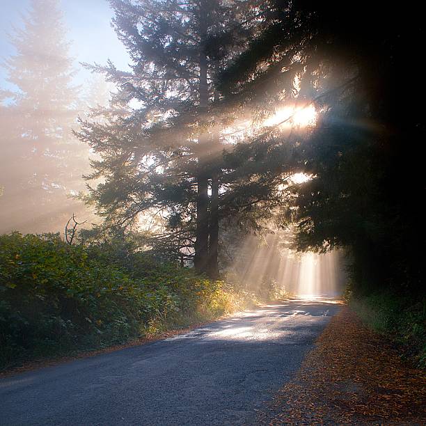 Navarro Ridge Road stock photo