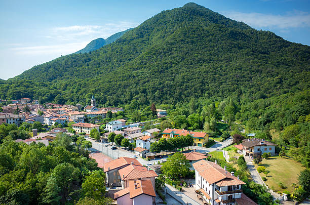 istock Aerial view on Prato Carnico 493971198